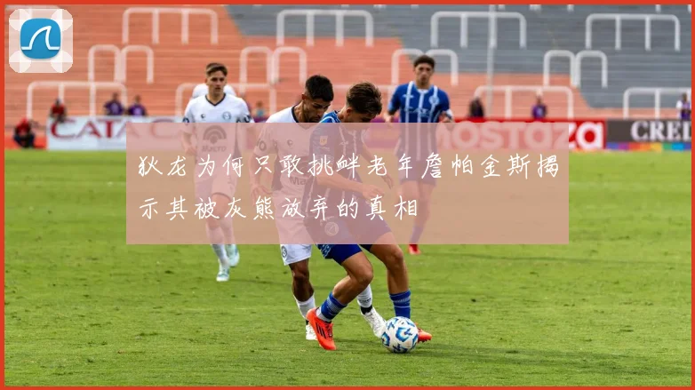 狄龙为何只敢挑衅老年詹帕金斯揭示其被灰熊放弃的真相